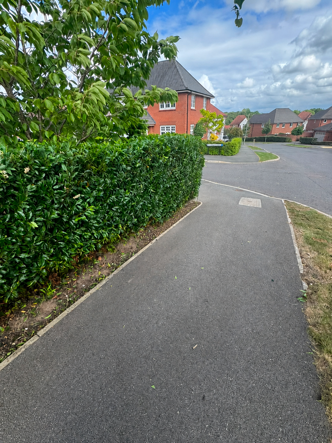 Neatly trimmed hedge lining a paved path in a modern residential street