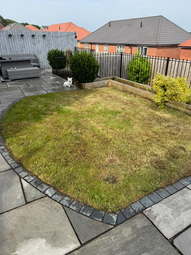 Lawn and shaped shrubs framed by a patio and sleeper border